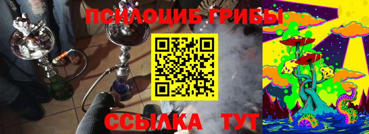 Бузулук  купить наркотик  Вход с VPN  Псилоцибиновые грибы GOLDEN TEACHER 