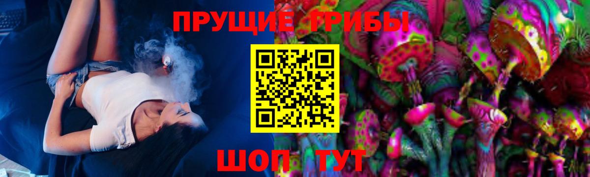 Псилоцибиновые грибы мухоморы Бузулук